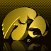 Logo Wallpaper Iowa Hawkeyes - Iowa hawkeyes football and basketball logo in.png format with a transparent background.