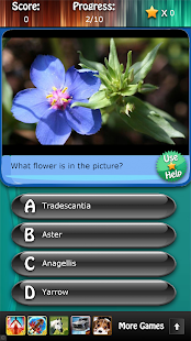 Flowers and Blossoms Quiz HD Screenshots 13
