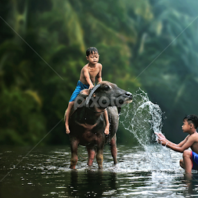 Bathing  Buffalo by Ipoenk Graphic - Babies & Children Children Candids