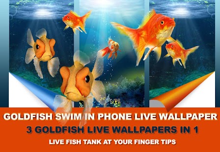 Download Goldfish Swim In Phone LWP APK for PC