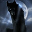 Black Wolf In Dark Night logo