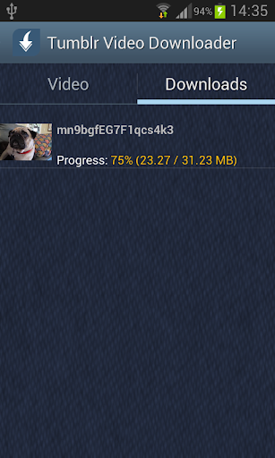Video Downloader - Tumblr