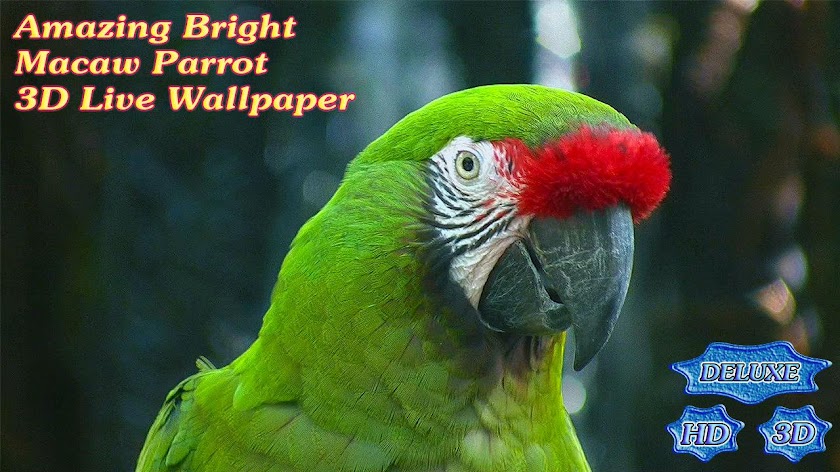 Amazing Bright Macaw Parrot Screen 3