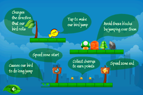 Run the Bird Screenshots 20