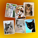 Cat Widget Free logo
