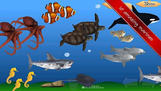 English Quiz For Second Grade Screenshots 14