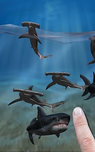 Shark Fingers Deadly Aquarium