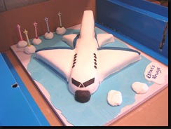 aeroplane cake et 2008 front