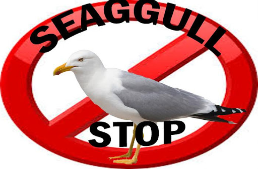 Seagull STOP AND SCARE AWAY