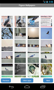 How to mod Pigeon Wallpapers lastet apk for bluestacks