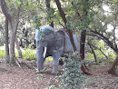 Elephant Statue,  Belapur
