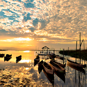 Sunset in the old lake by Tamin Ibrahim - Landscapes Sunsets & Sunrises