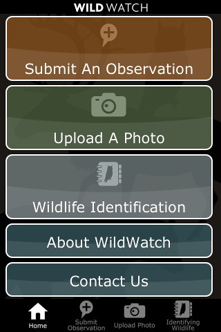 WildWatch