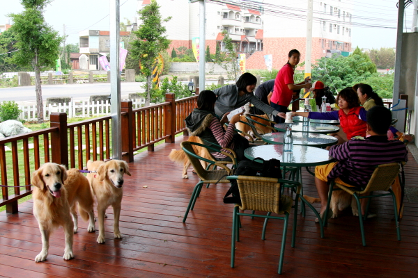 茄米酪咖啡館.爆好喝的牛奶鍋