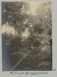 Verlengde Gonggrijpstraat