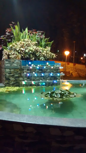 Waterfall and Fish Pond