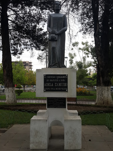 Estatua A Adela Zamudio Ejemplo De Mujer Valluna