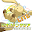 RPG ジオファンタジアLITE Download on Windows