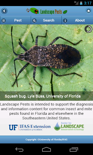 Landscape Pests