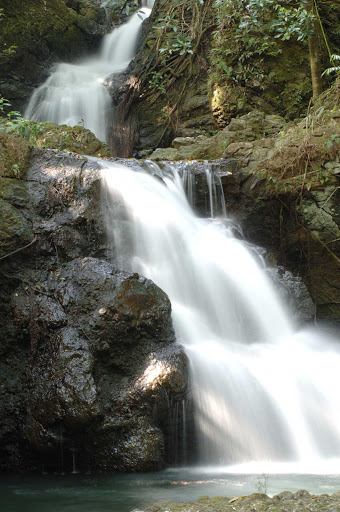 A waterfall in Hilo on the Big Island of Hawaii. 