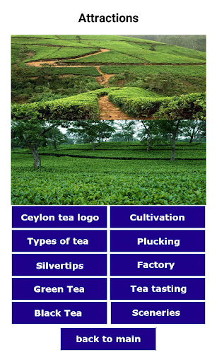 Ceylon Tea