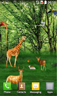 download Forest HD Live Wallpaper free