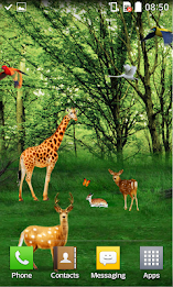 Forest HD Live Wallpaper poster 2