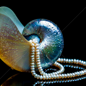 pearl by Adjie Tjokrosoedarmo - Artistic Objects Still Life