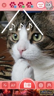 Neko Neko Camera Screenshots 0