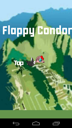 Flappy Condor