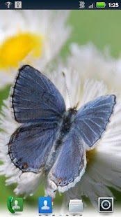 How to download Butterflies Live Wallpaper patch 3.6.0.0 apk for bluestacks