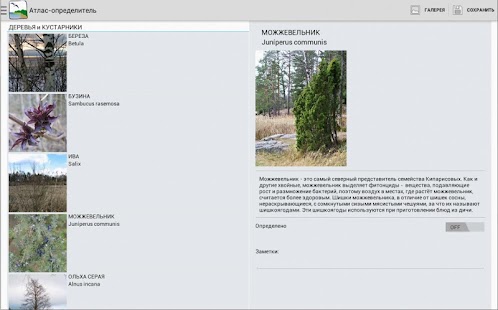 Baltic Promenade Screenshots 4