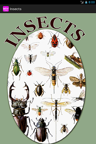 Insects