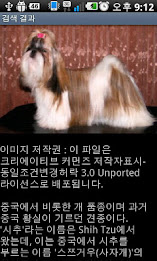 강아지 백과사전 poster 2