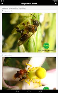 How to install MARDI Teknologi Lebah Kelulut 2.1.0 apk for android