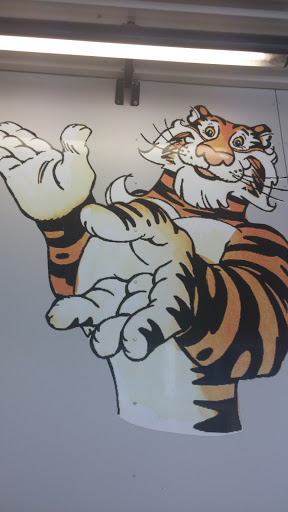 Tiger at Parko