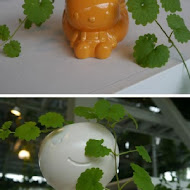 香草菲菲 芳香植物博物館