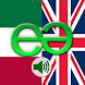 Italian to English Pro