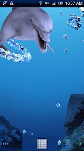 How to get Dolphin Ring Trial 2.5.0 unlimited apk for bluestacks