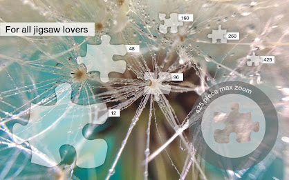 Jigsaw Puzzles: Raindrops poster 6