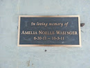 Amelia Wasinger Memorial Bench