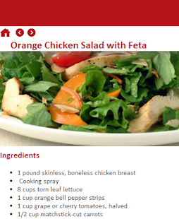 Chicken salad recipes Screenshots 2