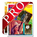KoeImagePro (Story) logo