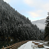 By a Mountain River by Tamsin Carlisle -  