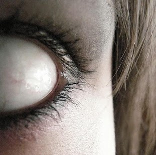 Free Download Ultimate Zombie Survival Test APK for PC