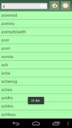 English Welsh Dictionary poster 5