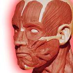 Cover Image of Télécharger Système musculaire 3D (anatomie) 1.9.2 APK