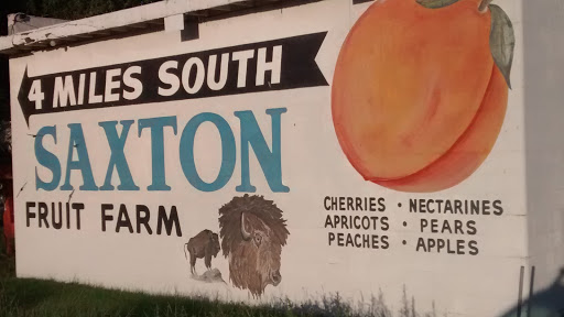Saxton Fruit Farm Mural