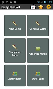 Gully Cricket Scorer Pro Screenshots 0
