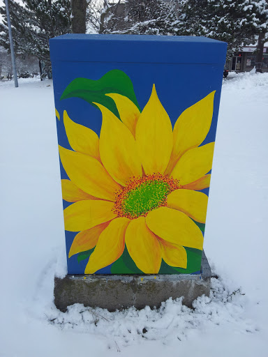 Sunflower Equipment Box Mural